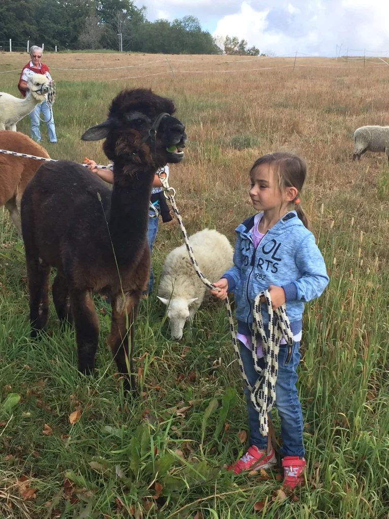 Alpaka-Wanderung mit Kindern